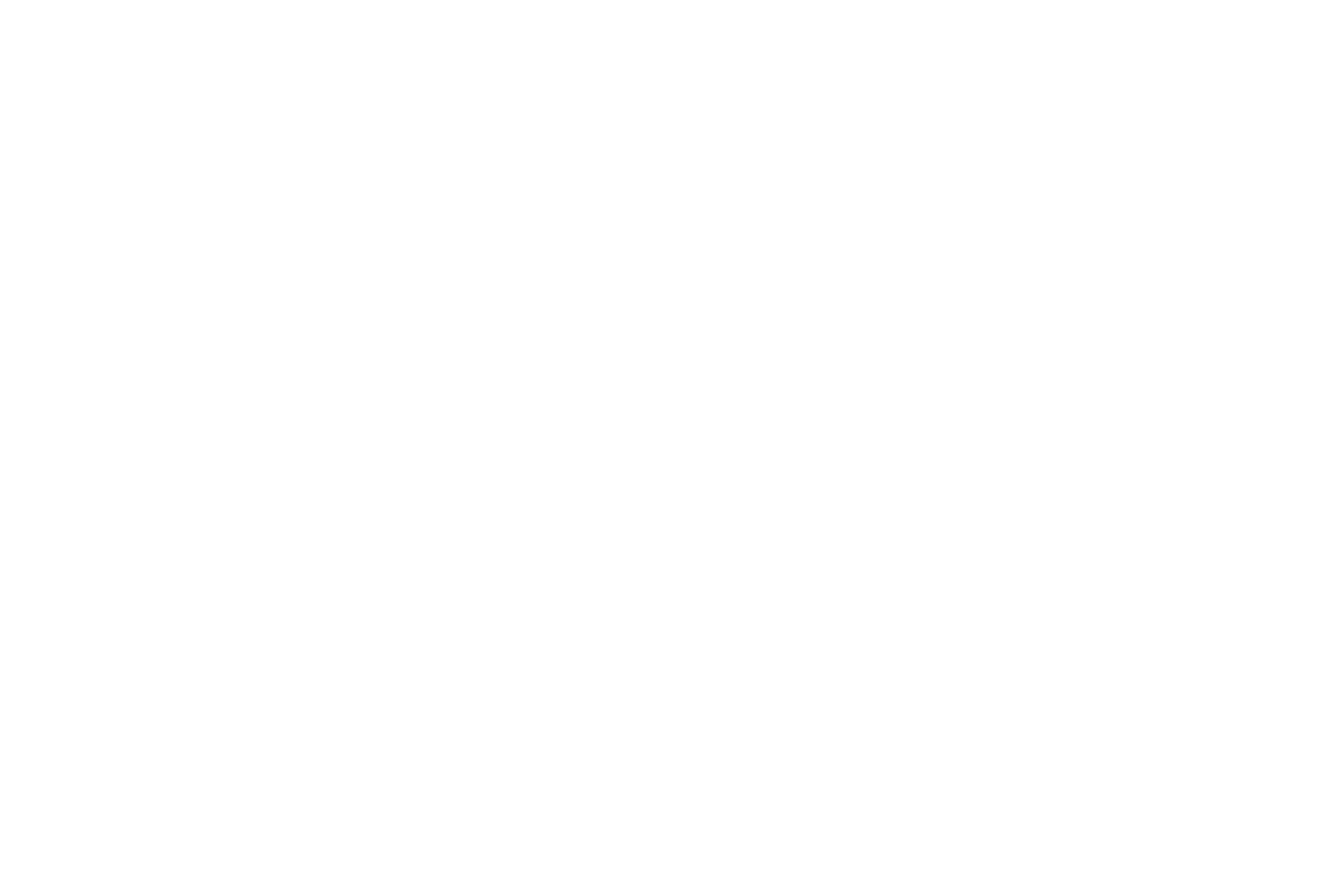 Shalon Assistência Técnica